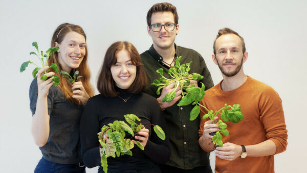 The founders of Containing Greens AB pose for a photo - Photo by Containing Greens AB